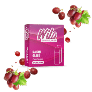Recharges WILO - Raisin Glacé