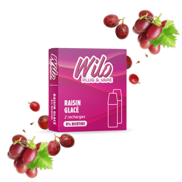 Recharges WILO - Raisin Glacé
